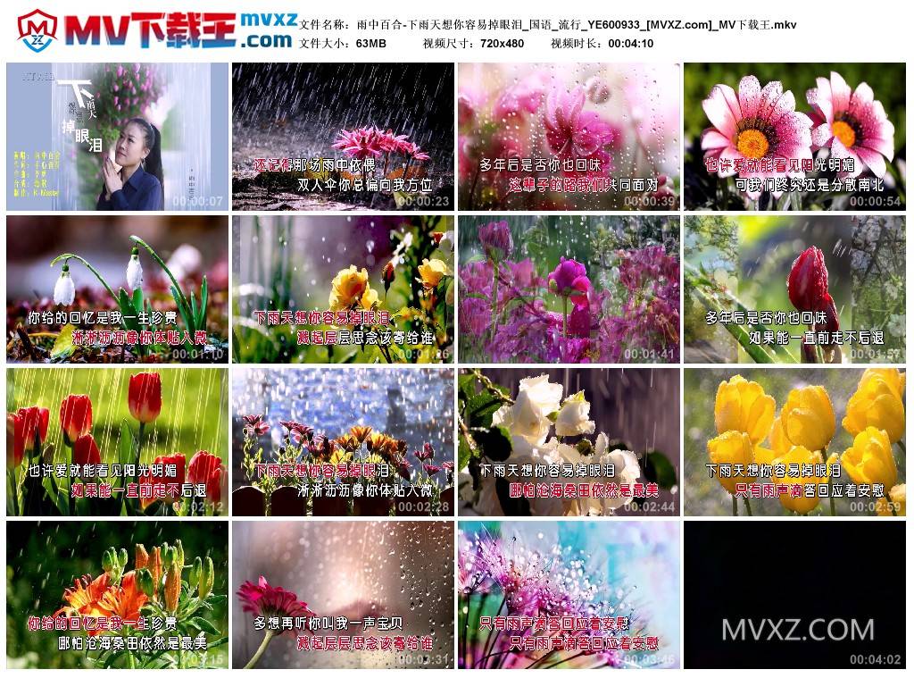 雨中百合-下雨天想你容易掉眼泪_国语_流行_YE600933